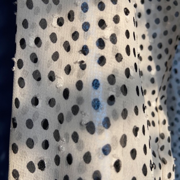 Sheer Polka Dot Top - Picture 4 of 4